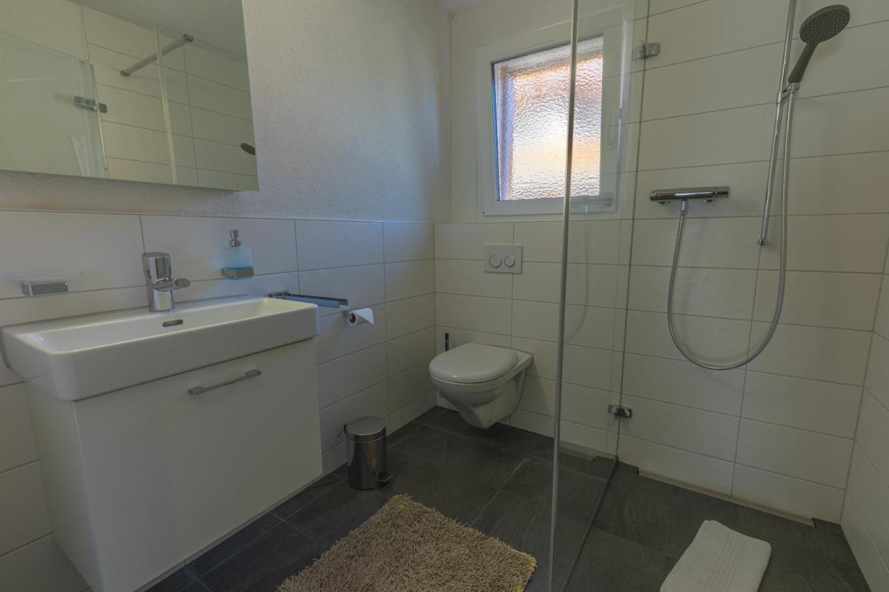 Harder Apartment - Aare Jungfrau Ag Wilderswil Bagian luar foto
